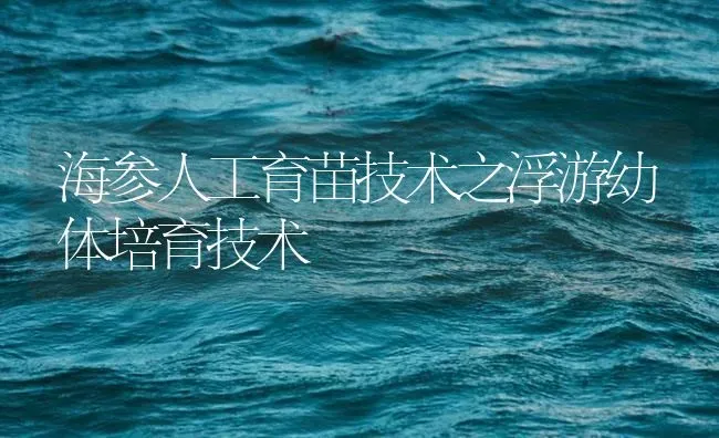 海参人工育苗技术之浮游幼体培育技术 | 海水养殖