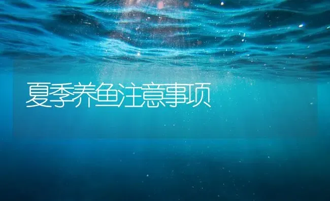 夏季养鱼注意事项 | 淡水养殖