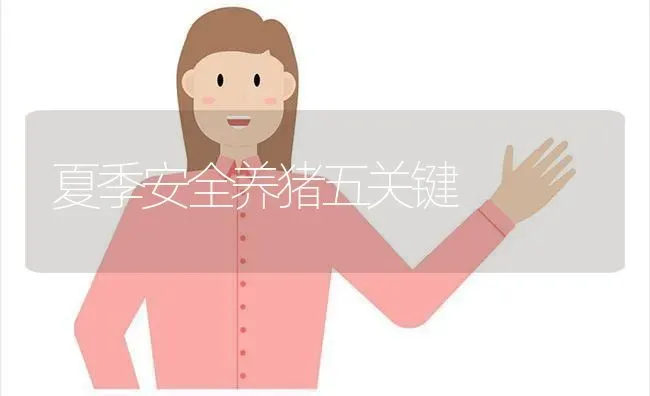 夏季安全养猪五关键 | 家畜养殖