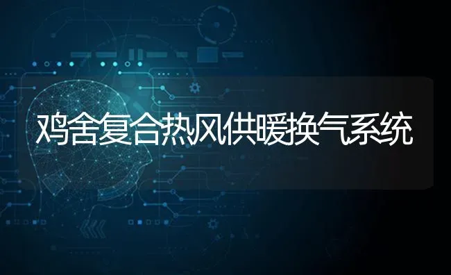 鸡舍复合热风供暖换气系统 | 家禽养殖