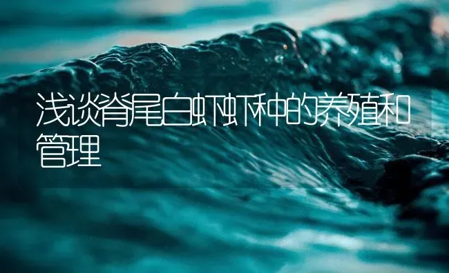 浅谈脊尾白虾虾种的养殖和管理 | 海水养殖