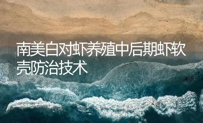 南美白对虾养殖中后期虾软壳防治技术 | 海水养殖