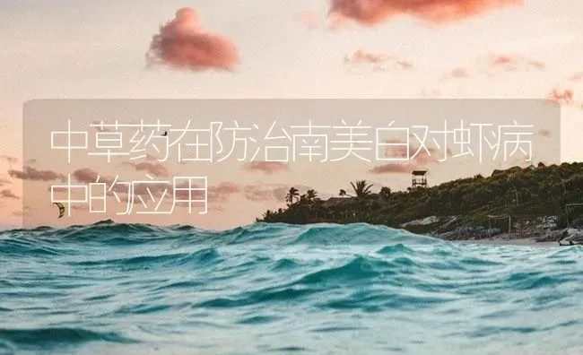 中草药在防治南美白对虾病中的应用 | 养殖病虫害防治