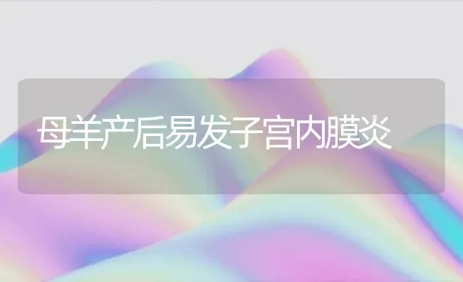 母羊产后易发子宫内膜炎 | 家畜养殖