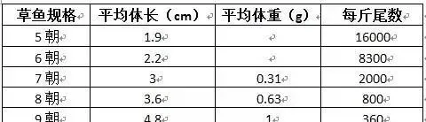 草鱼种朝苗培育现状与技术要点