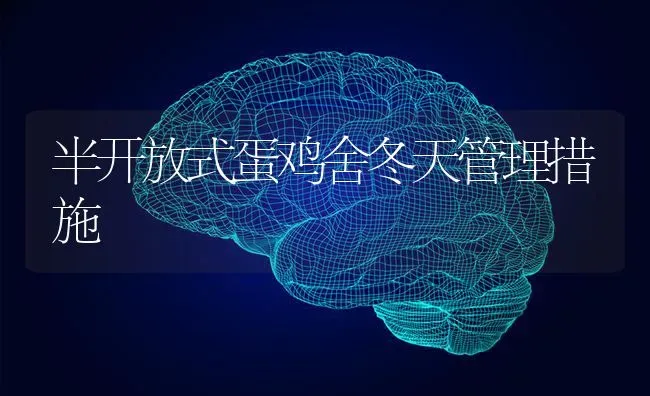 半开放式蛋鸡舍冬天管理措施 | 家禽养殖