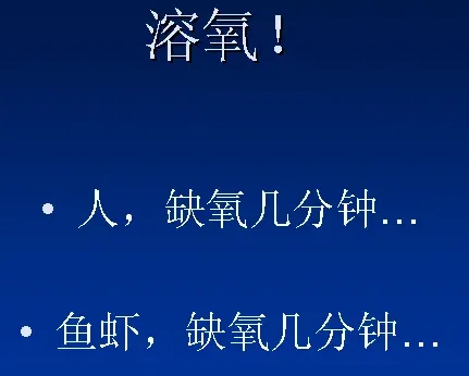 这样养桂花鱼，不发财才怪：看看高手是怎么养桂花鱼的