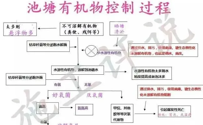 池塘不下菌怎么分解脏东西？