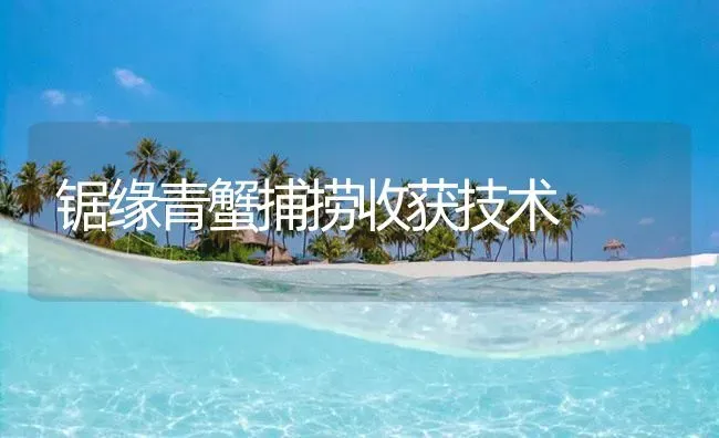 锯缘青蟹捕捞收获技术 | 海水养殖