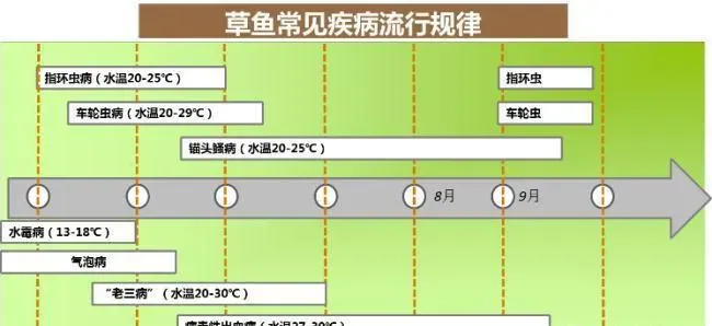 四五月份水产养殖池塘常见六个问题诊断