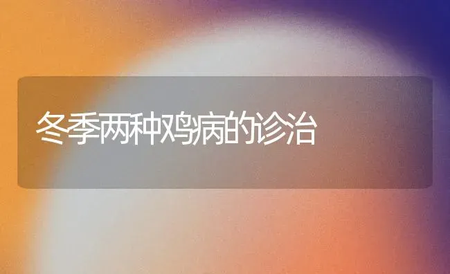 冬季两种鸡病的诊治 | 家禽养殖