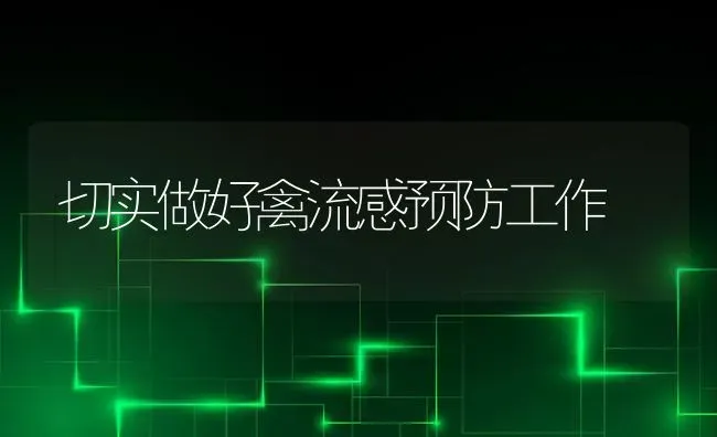 切实做好禽流感预防工作 | 家禽养殖