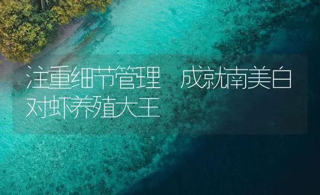 注重细节管理 成就南美白对虾养殖大王 | 海水养殖