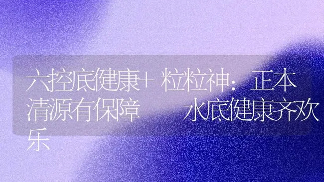 六控底健康+粒粒神：正本清源有保障  水底健康齐欢乐 | 动物养殖百科