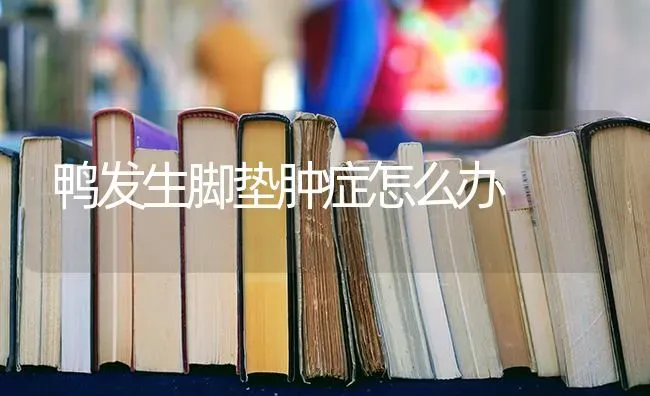 鸭发生脚垫肿症怎么办 | 家禽养殖