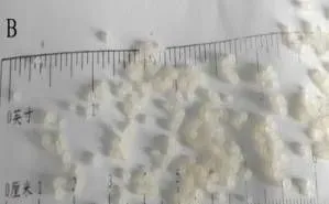 水产微囊饲料简介及评价指标
