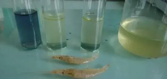 【技术分享】做好海水小白虾越冬期管理，把好最后一关