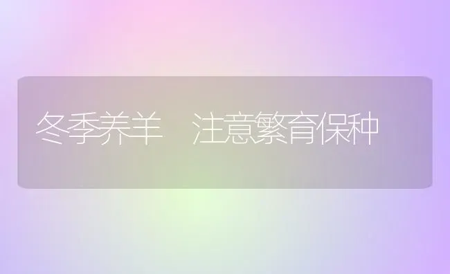 冬季养羊 注意繁育保种 | 家畜养殖