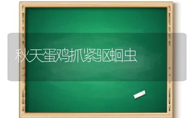 秋天蛋鸡抓紧驱蛔虫 | 家禽养殖