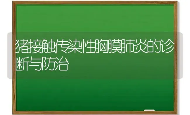 猪接触传染性胸膜肺炎的诊断与防治 | 家畜养殖