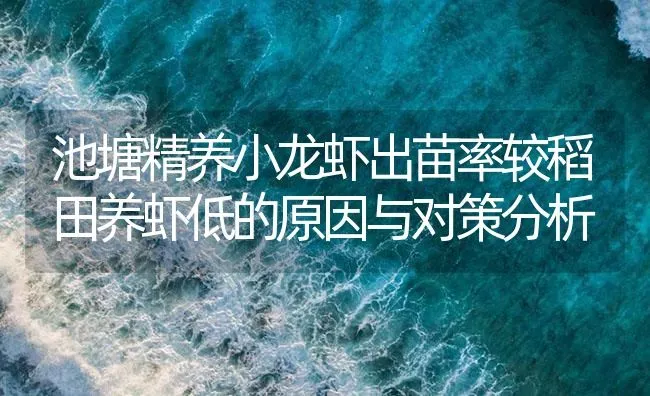 池塘精养小龙虾出苗率较稻田养虾低的原因与对策分析 | 海水养殖
