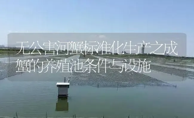 无公害河蟹标准化生产之成蟹的养殖池条件与设施 | 淡水养殖