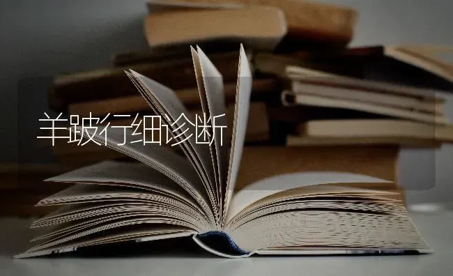 羊跛行细诊断 | 家畜养殖