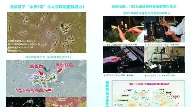 高温天气，水产养殖户要慎用芽孢杆菌