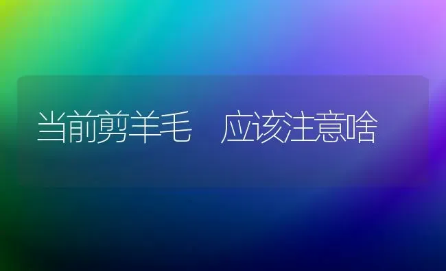 当前剪羊毛 应该注意啥 | 家畜养殖