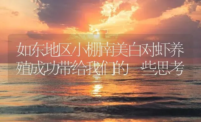 如东地区小棚南美白对虾养殖成功带给我们的一些思考 | 海水养殖