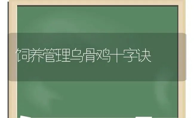 饲养管理乌骨鸡十字诀 | 家禽养殖