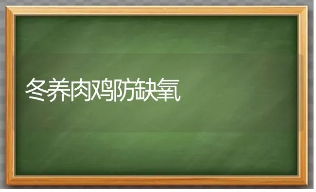 冬养肉鸡防缺氧 | 家禽养殖