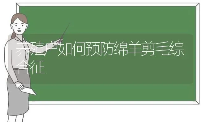 养殖户如何预防绵羊剪毛综合征 | 家畜养殖