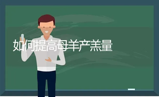 如何提高母羊产羔量 | 家畜养殖