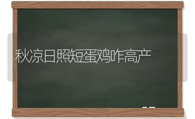 秋凉日照短蛋鸡咋高产 | 家禽养殖