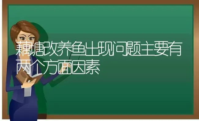 藕塘改养鱼出现问题主要有两个方面因素 | 动物养殖百科