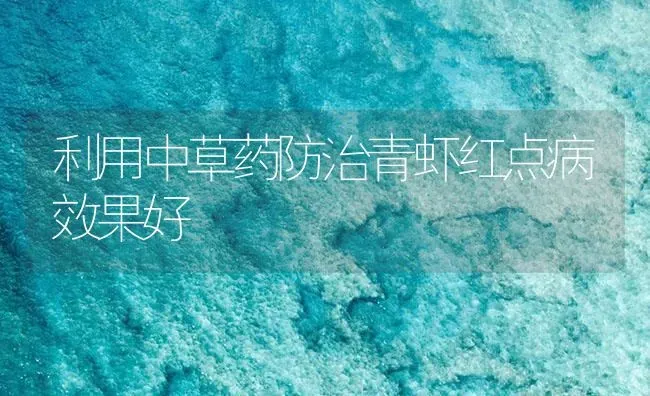 利用中草药防治青虾红点病效果好 | 养殖病虫害防治