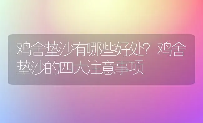 鸡舍垫沙有哪些好处？鸡舍垫沙的四大注意事项 | 家禽养殖