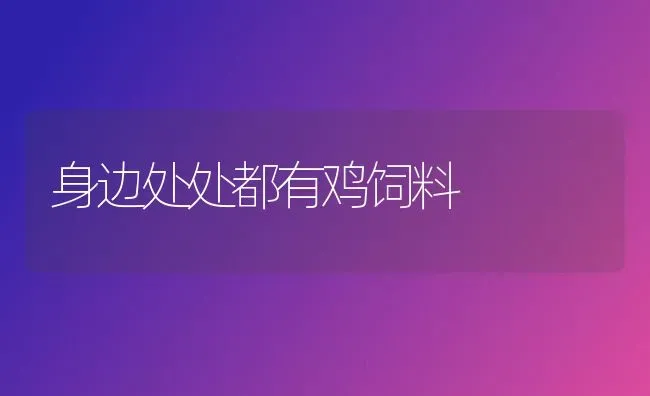 身边处处都有鸡饲料 | 家禽养殖