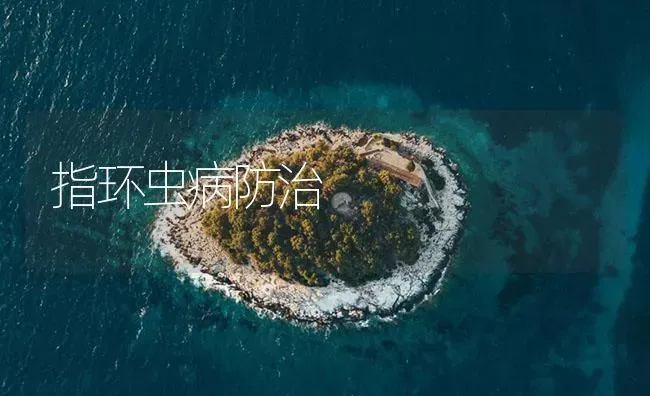 指环虫病防治 | 养殖病虫害防治