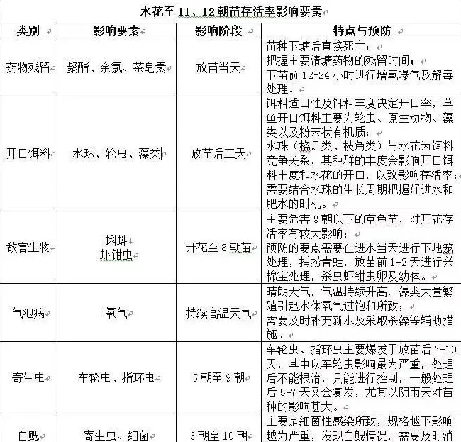 草鱼种朝苗培育现状与技术要点