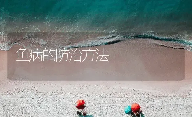 鱼病的防治方法 | 养殖病虫害防治