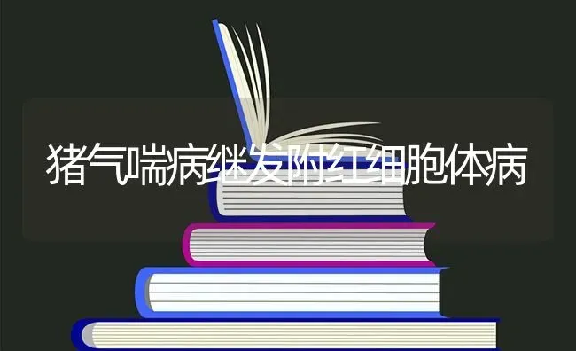 猪气喘病继发附红细胞体病 | 家畜养殖