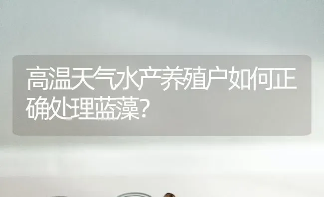 高温天气水产养殖户如何正确处理蓝藻？ | 动物养殖百科