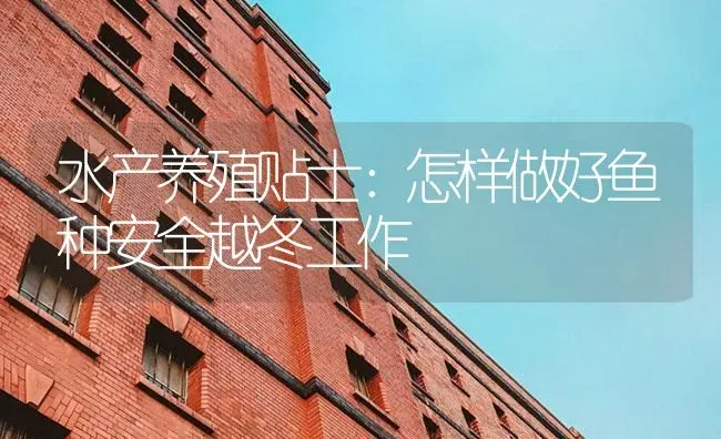 水产养殖贴士：怎样做好鱼种安全越冬工作 | 淡水养殖