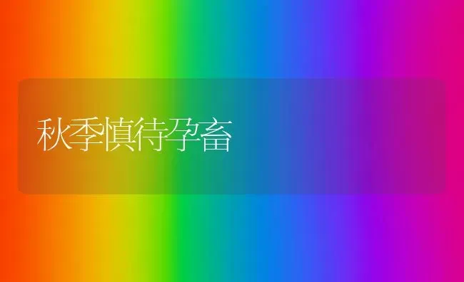 秋季慎待孕畜 | 家畜养殖