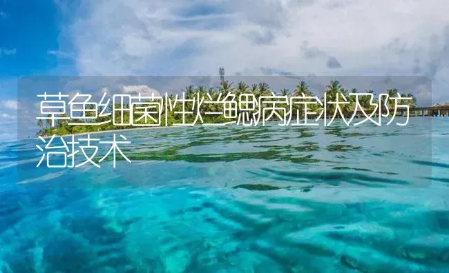 草鱼细菌性烂鳃病症状及防治技术 | 养殖病虫害防治