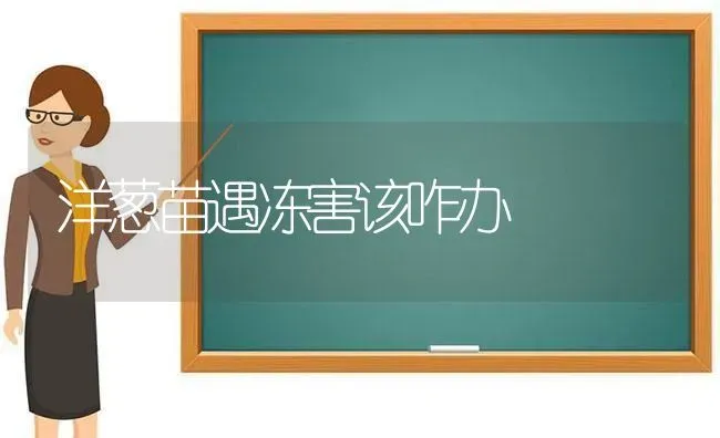 冬季蛋禽要提高饲料标准 | 动物养殖饲料