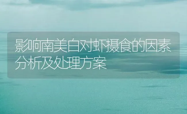 影响南美白对虾摄食的因素分析及处理方案 | 海水养殖