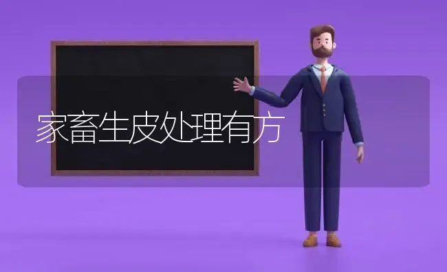 家畜生皮处理有方 | 家畜养殖